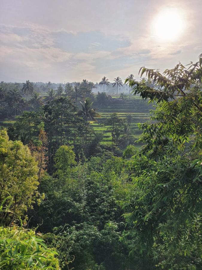Les Rizieres Lombok - Tetebatu 호텔 외부 사진