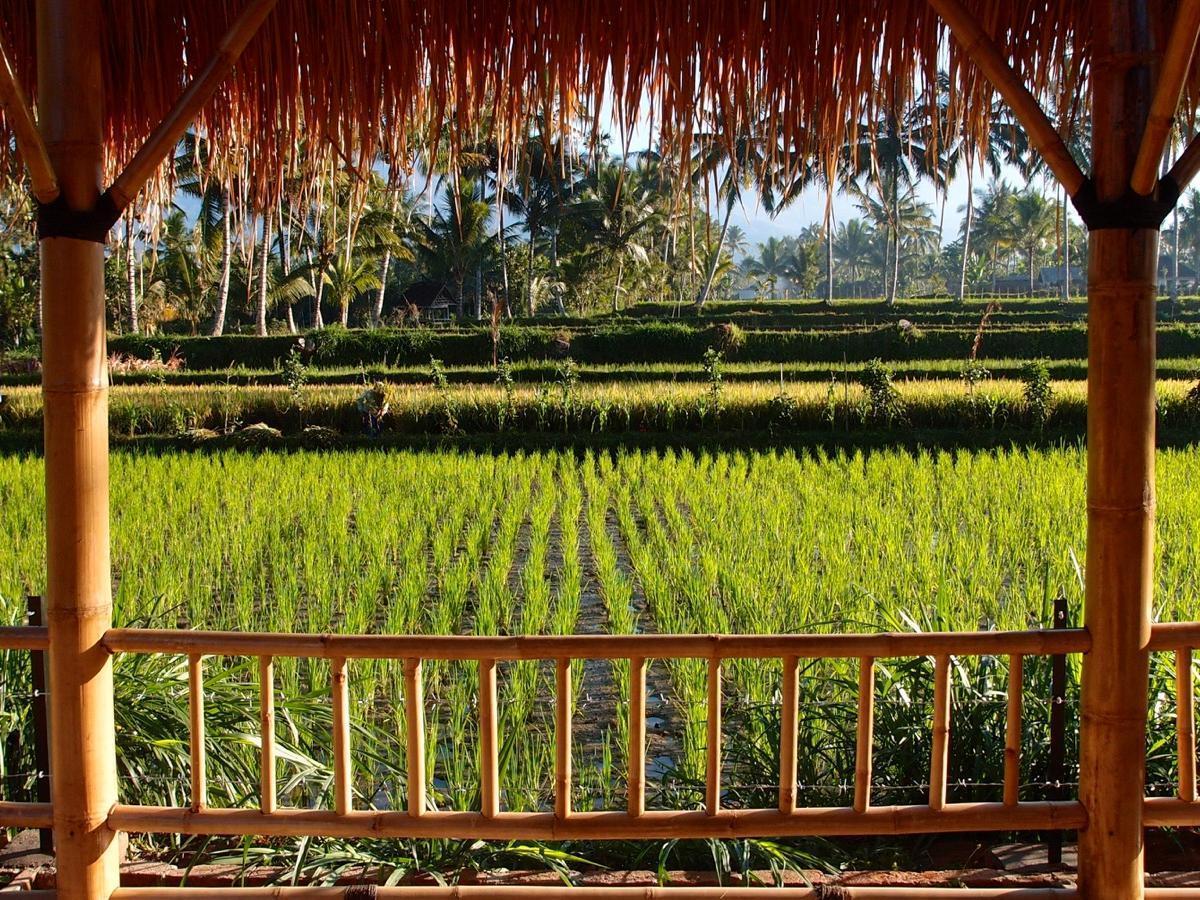 Les Rizieres Lombok - Tetebatu 호텔 외부 사진